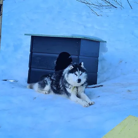 Lägenhet Escapade Montagne En Famille, Cosy Avec Piscine Couverte Bielle